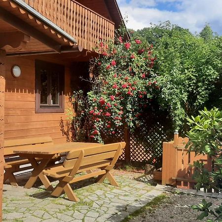 Chata Gorska Sowa Dla 12 Osob, 4 Sypialnie,Salon Z Kominkiem Villa Podgorzyn Exterior photo