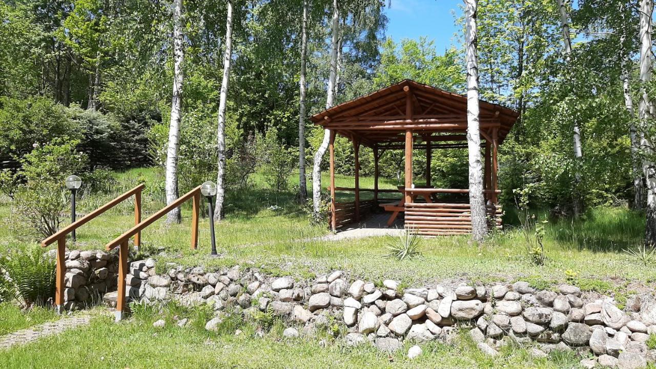 Chata Gorska Sowa Dla 12 Osob, 4 Sypialnie,Salon Z Kominkiem Villa Podgorzyn Exterior photo