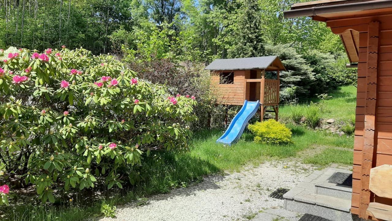 Chata Gorska Sowa Dla 12 Osob, 4 Sypialnie,Salon Z Kominkiem Villa Podgorzyn Exterior photo